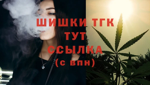 сатива Алексеевка
