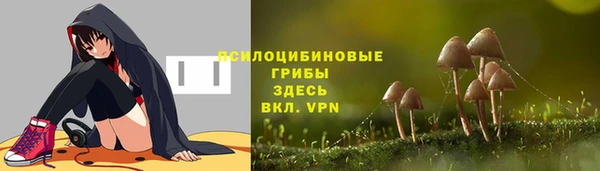 ешки Алексин