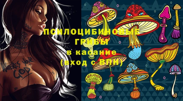 ешки Алексин